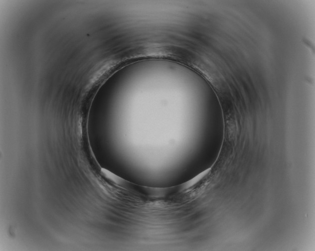 X0000098210350200804241326