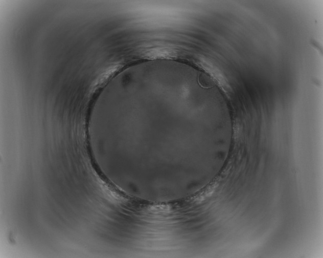 X0000098210353200804241326