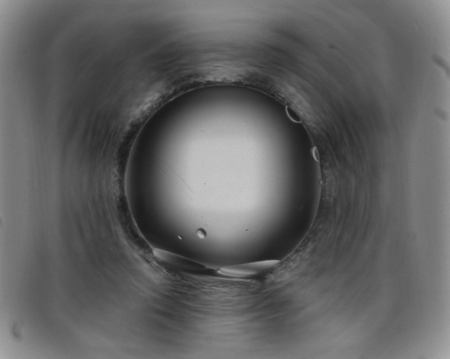 X0000098210354200804241326