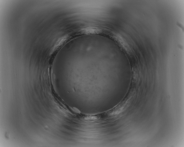 X0000098210357200804241326