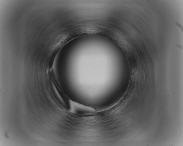 X0000098210358200804241326