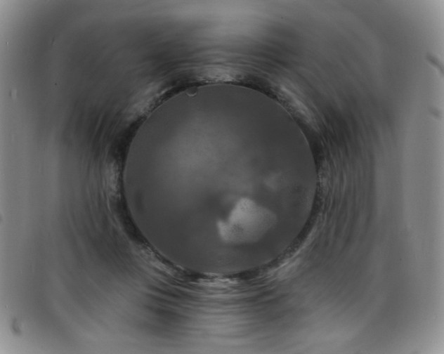 X0000098210359200804241326