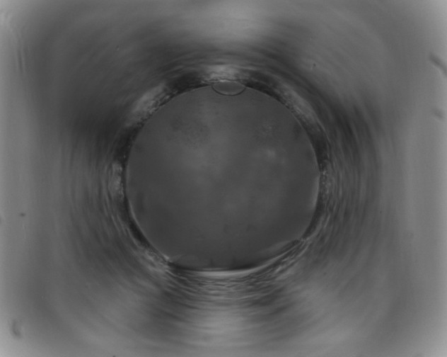 X0000098210361200804241326