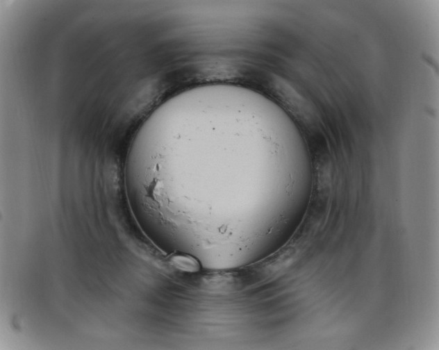 X0000098210362200804241326