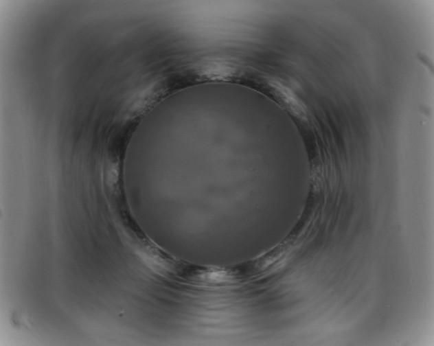 X0000098210365200804241326