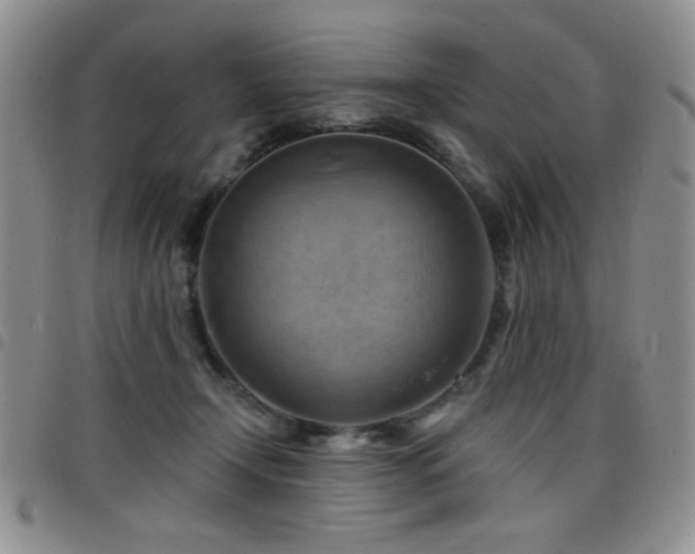 X0000098210366200804241326