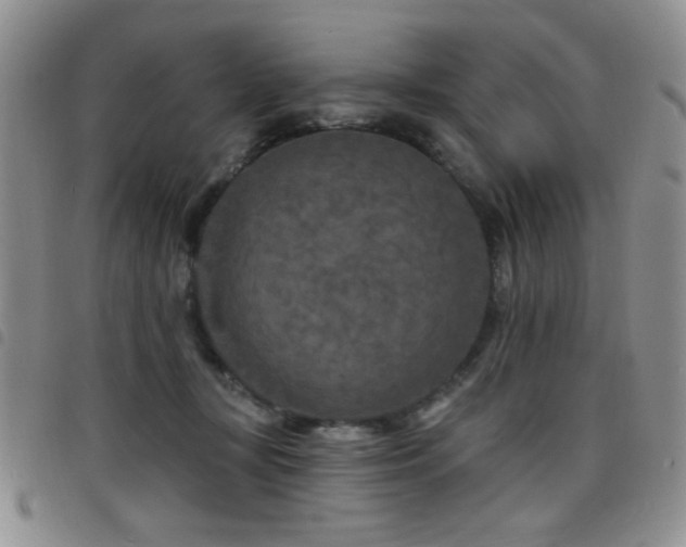 X0000098210367200804241326