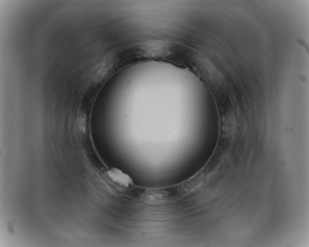 X0000098210368200804241326
