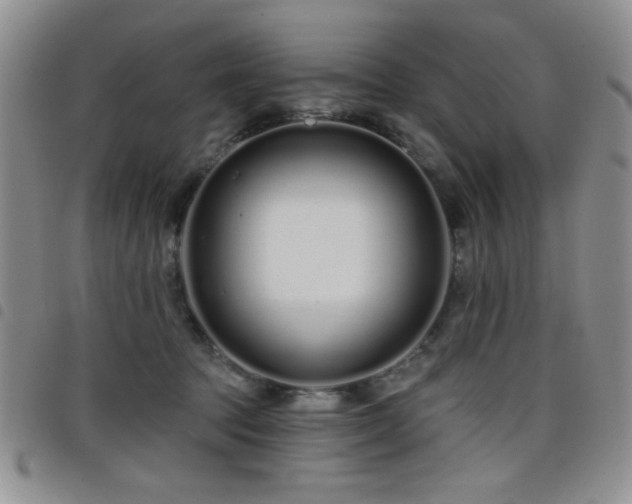 X0000098210369200804241326