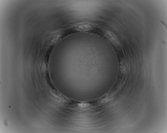 X0000098210371200804241326