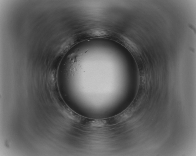 X0000098210373200804241326
