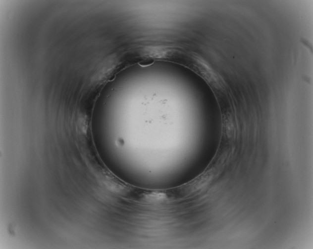X0000098210374200804241326