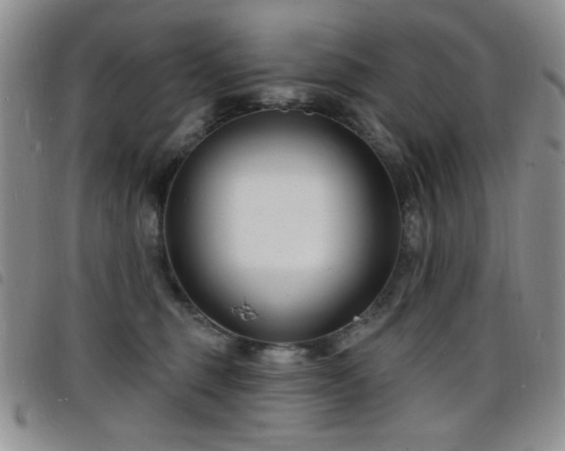 X0000098210375200804241326