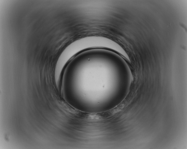 X0000098210376200804241326