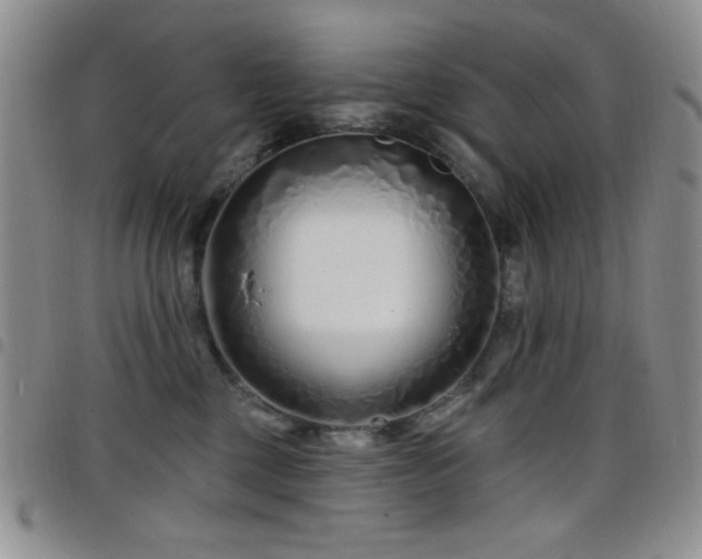 X0000098210377200804241326
