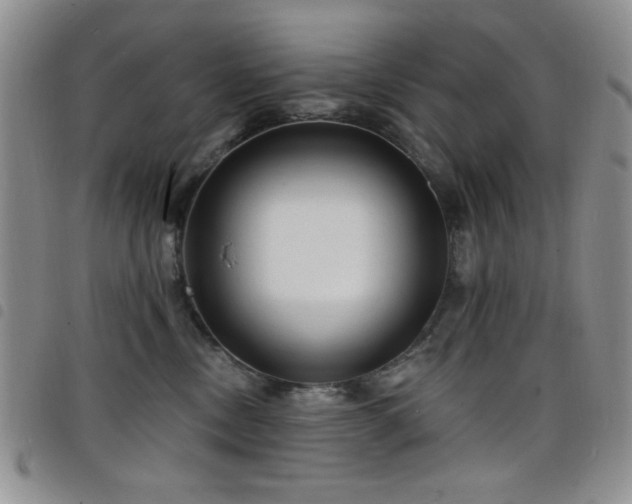 X0000098210378200804241326
