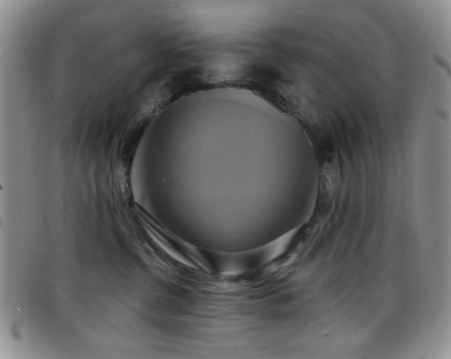 X0000098210380200804241327