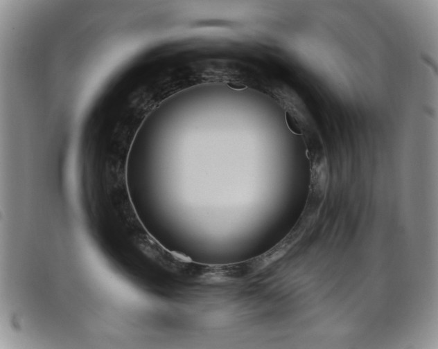 X0000098210381200804241327