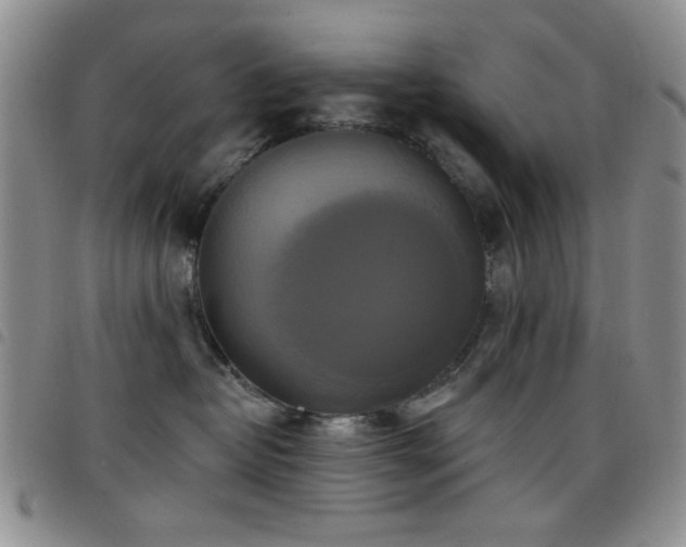 X0000098210382200804241327