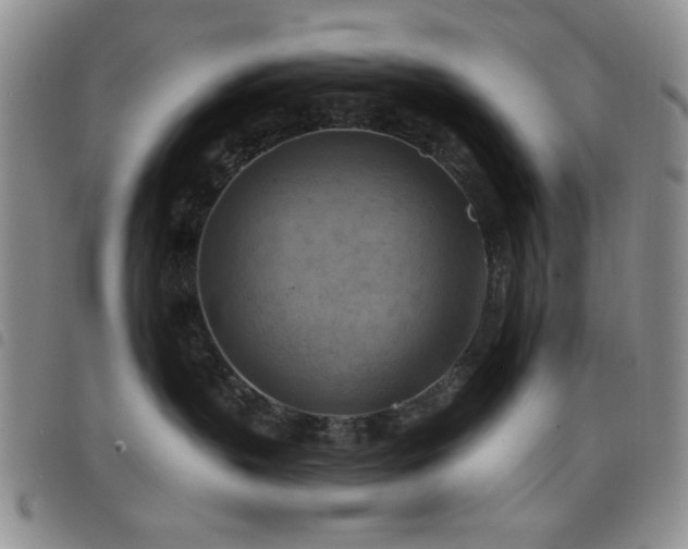 X0000098210383200804241327