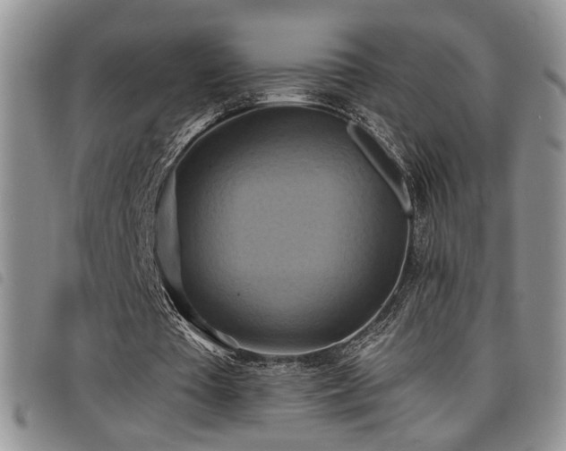 X0000098210385200804241326
