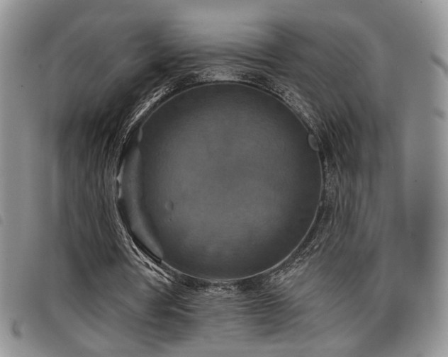 X0000098210386200804241326