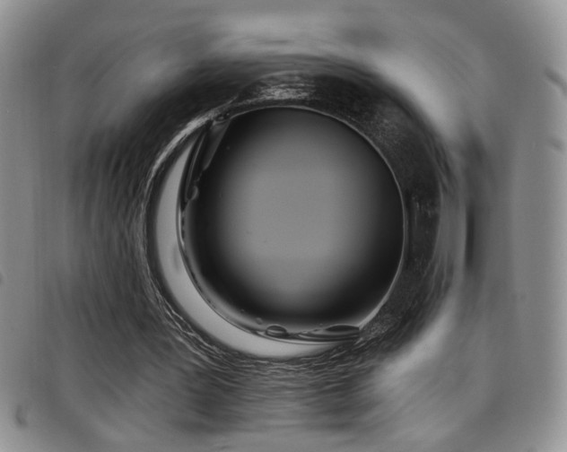 X0000098210387200804241326