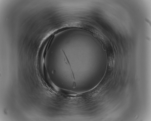 X0000098210388200804241326