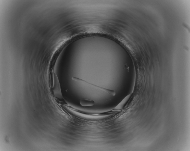 X0000098210391200804241326