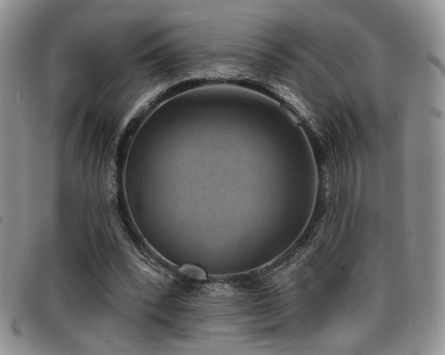 X0000098210392200804241326
