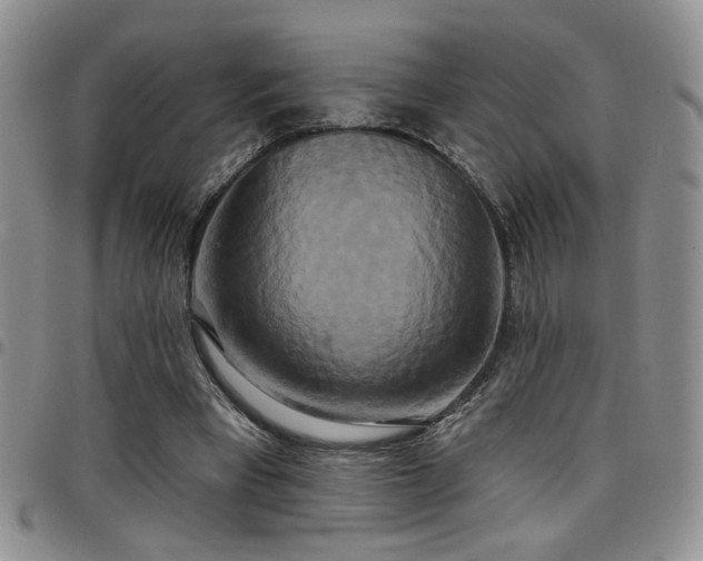 X0000098210393200804241326
