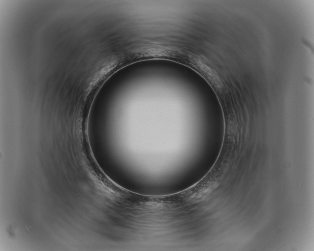 X0000098210394200804241326