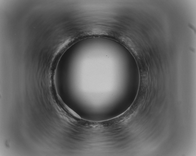 X0000098210395200804241326