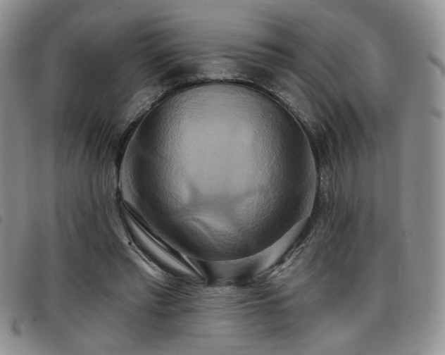 X0000098210397200804241326