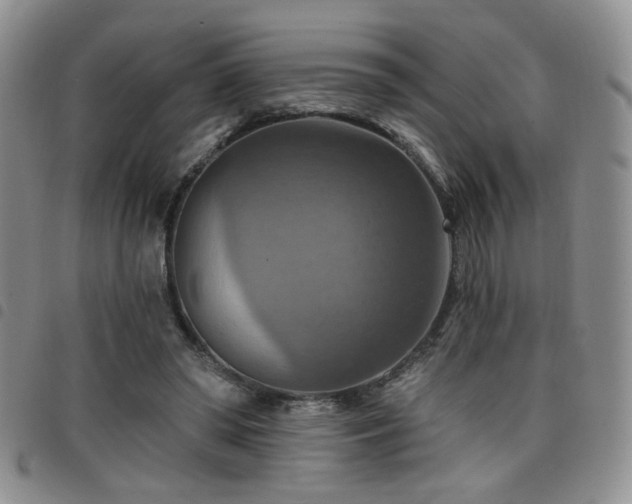 X0000098210398200804241326