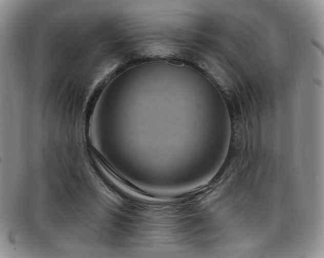 X0000098210399200804241326