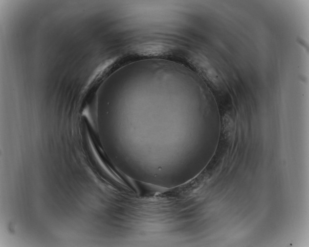 X0000098210400200804241326