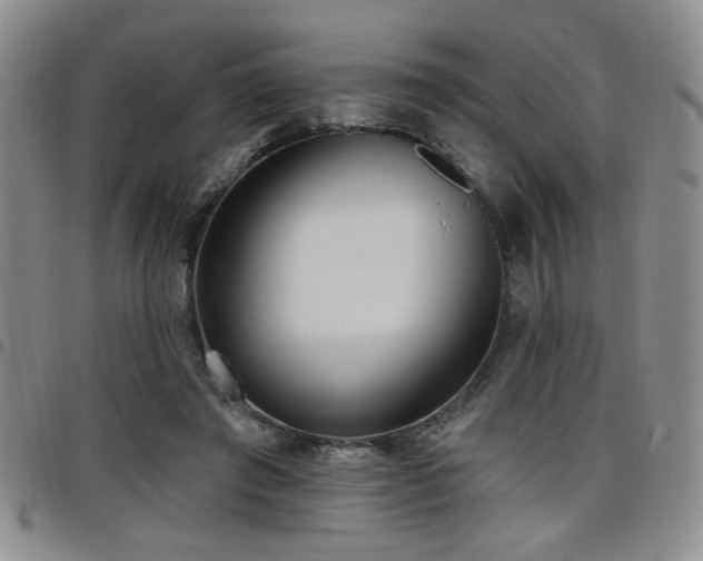 X0000098210401200804241326