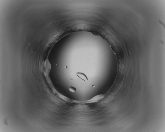 X0000098210403200804241326