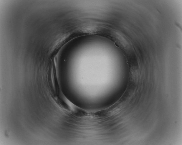 X0000098210404200804241326