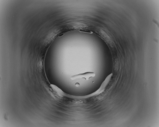 X0000098210405200804241326