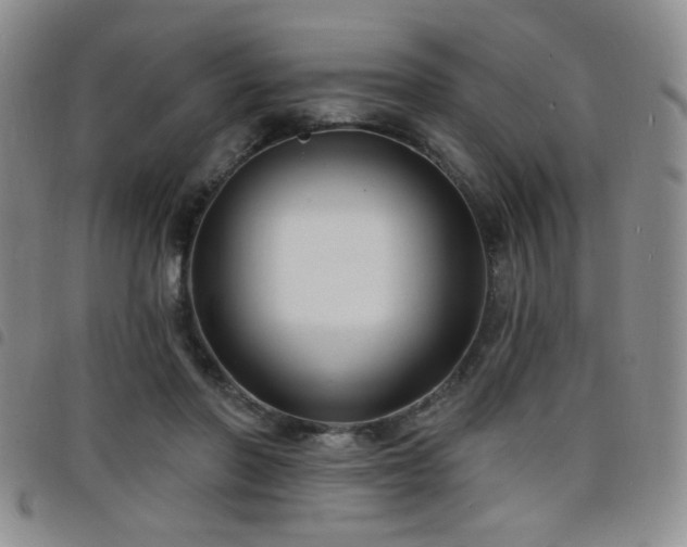 X0000098210406200804241326