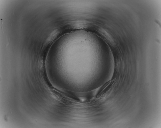 X0000098210407200804241326