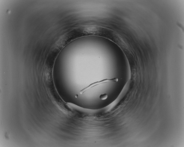X0000098210408200804241326
