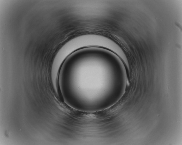 X0000098210409200804241325