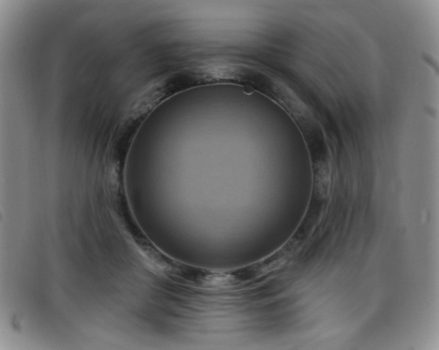 X0000098210410200804241325