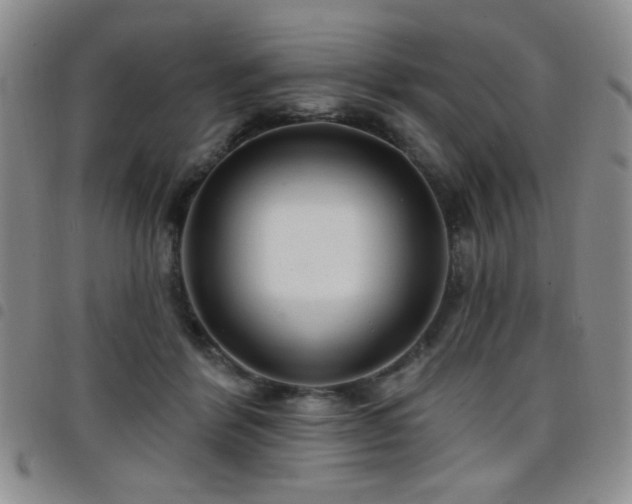 X0000098210412200804241325