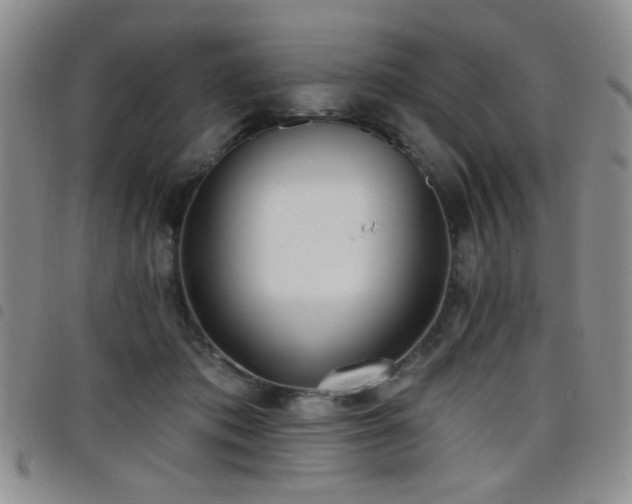 X0000098210413200804241325