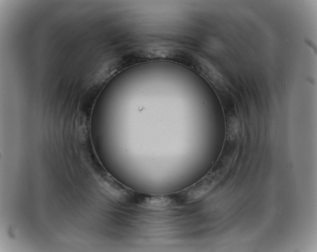 X0000098210414200804241325