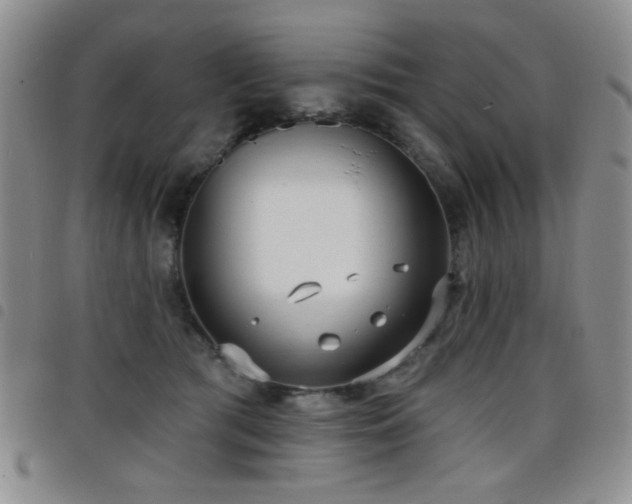 X0000098210417200804241325